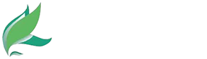 廣州市百順動(dòng)漫科技有限公司